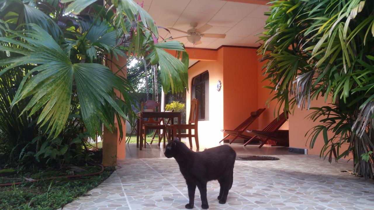 Embassy House Bed & Breakfast Puerto Jiménez Exterior foto