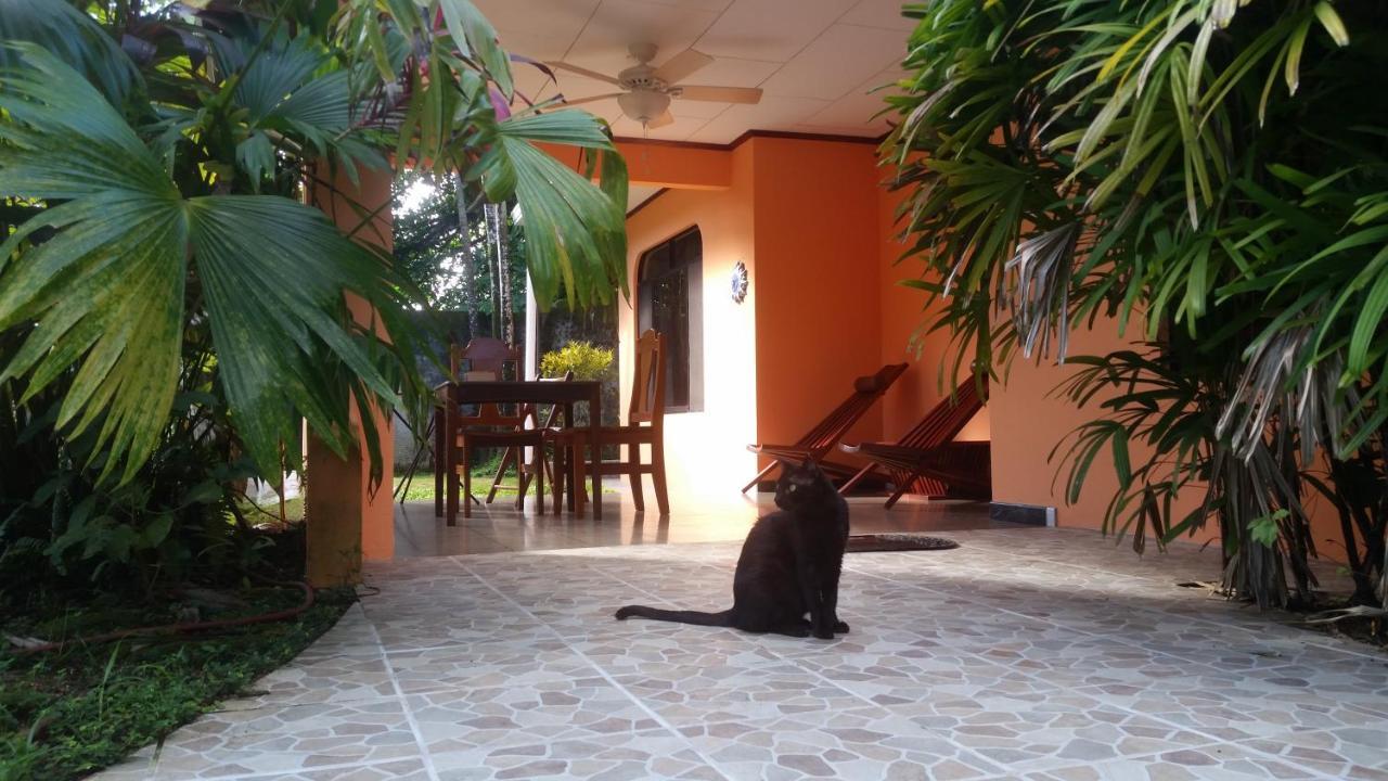Embassy House Bed & Breakfast Puerto Jiménez Exterior foto